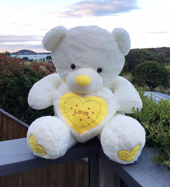Love Heart Teddy 80cm--yellow heart
